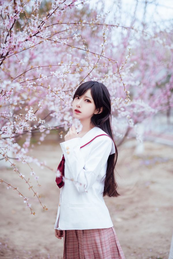 No.030-樱花 [13P]-慕色阁