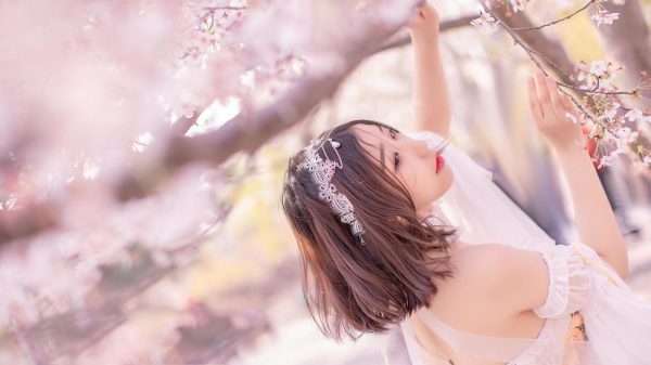 No.013-樱花盛开的季节 [19P]-慕色阁