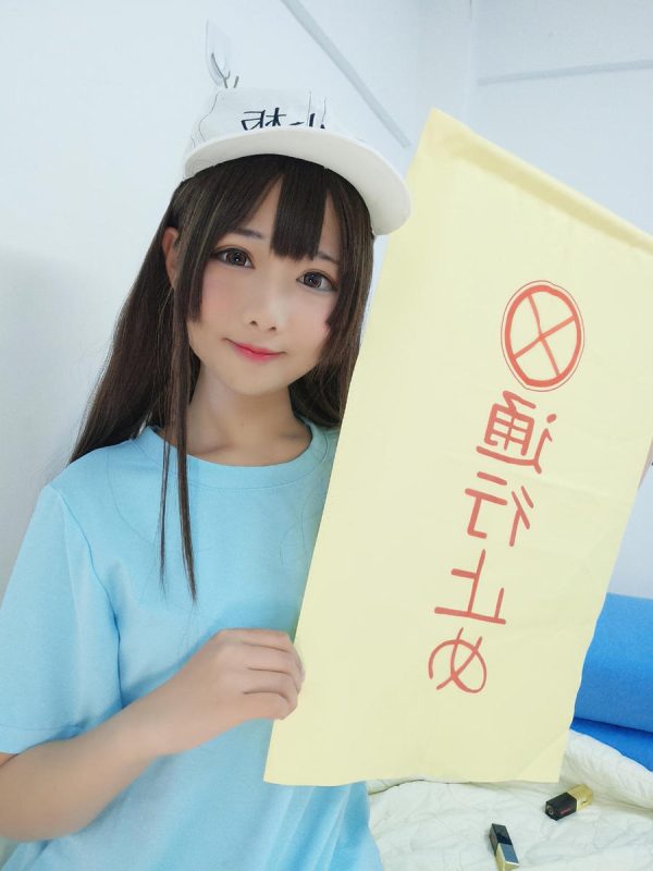 No.046-工作细胞 血小板 [15P]-慕色阁