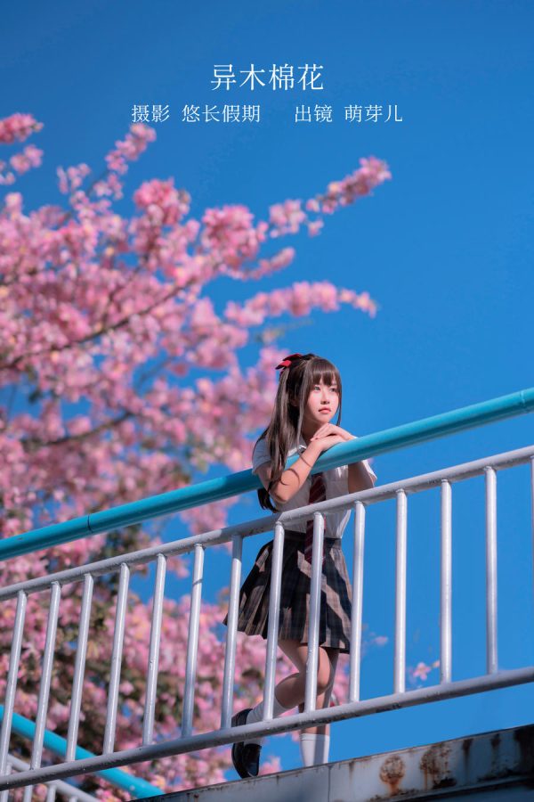 No.026 – 异木棉花 [27P]-慕色阁