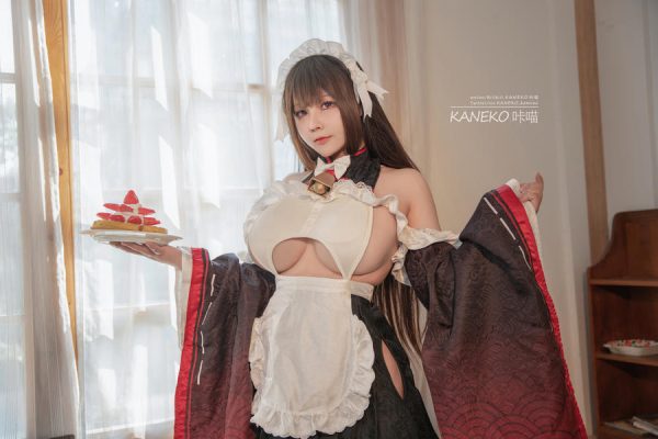 No.028 – 樫野牛牛女仆 [29P 2V]-慕色阁