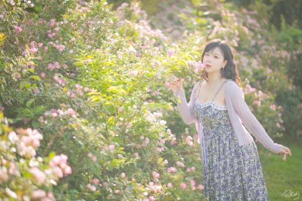 No.062 – 蔷薇花 [37P]-慕色阁